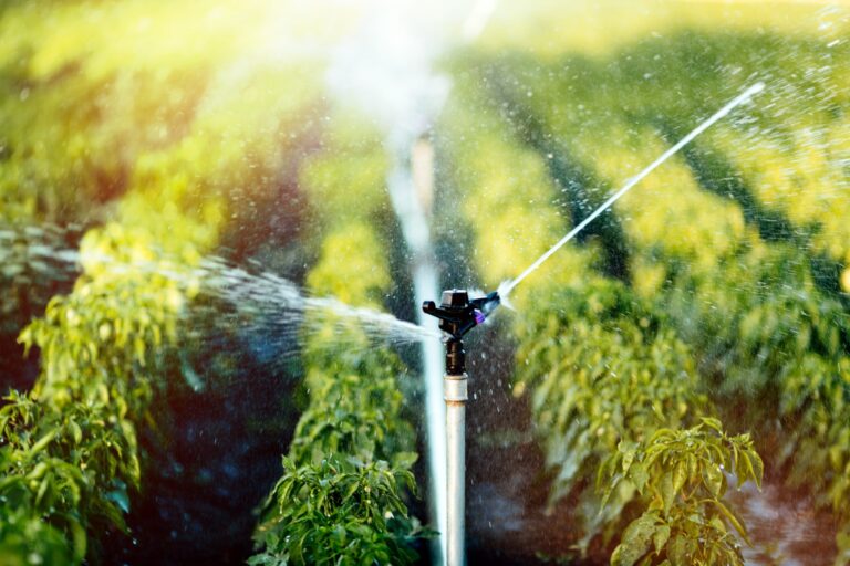Agricultural Investments Roadmap for 2026 Irrigation and Water Management Take Centre Stage