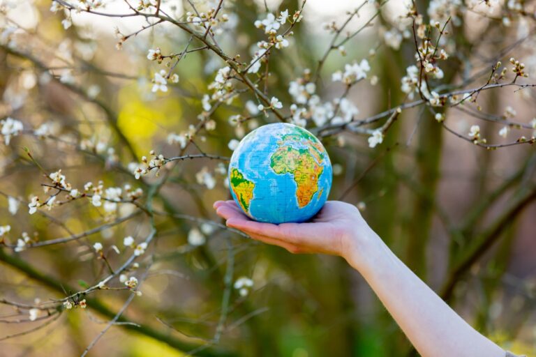 Climate Report Released Ahead of COP28