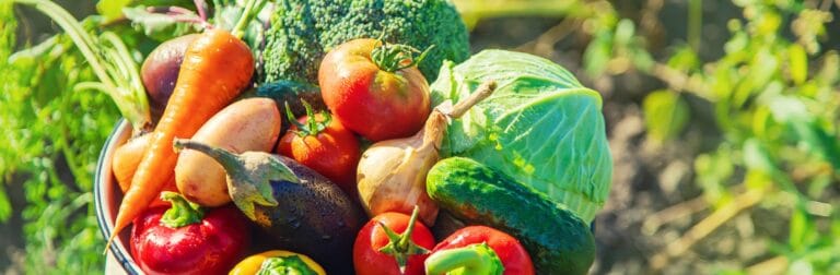 New Era in Organic Agriculture from the EU Council: Simplification and Strict Control Starts