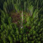 IFS Announces New ‘Deforestation Control’ Tool