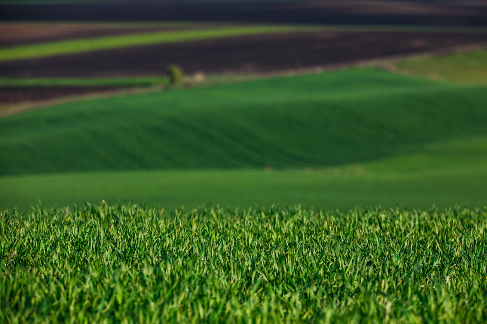 Netafim and Virridy Sign Partnership Agreement for ‘Carbon Credit Programme in Agriculture