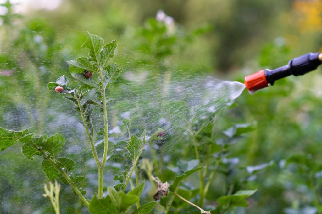 New Step from the European Commission: Pesticide Monitoring in Food to Begin in 2026