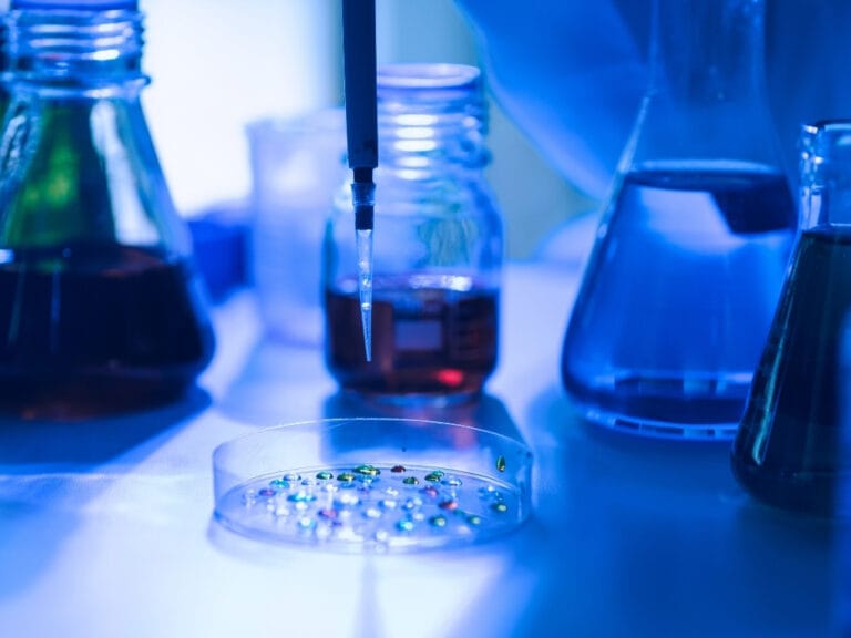 REACH Update: A Broad-Ranging Restriction on the Bisphenol Family Is Coming