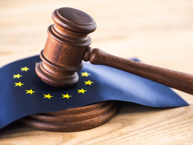 The European Commission Publishes the Forced Labour Regulation Implementation Guidelines