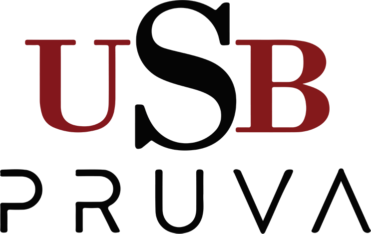 Usb Pruva Logo
