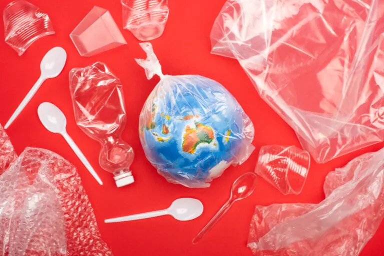 France’s Circular Economy Law: New Measures against Plastic Pollution and Steps towards Sustainability